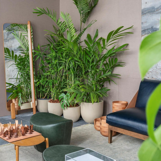 Curve Full Length Mirror