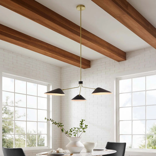 Ramon 3-Light 14" Arm Pendant, Black